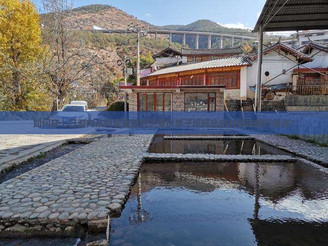 如何在七日游内从阿坝高效到达重庆李子坝轻轨站并解决旅行痛点？