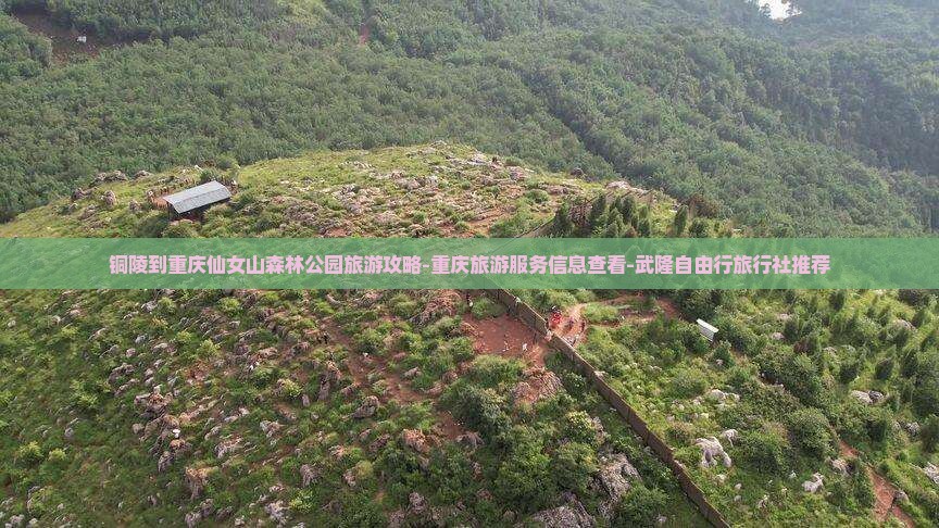 铜陵到重庆仙女山森林公园旅游攻略-重庆旅游服务信息查看-武隆自由行旅行社推荐