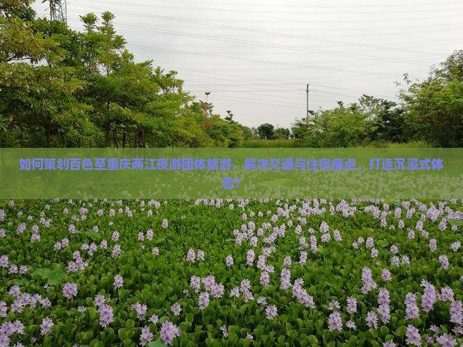 如何策划百色至重庆两江夜游团体旅游，解决交通与住宿痛点，打造沉浸式体验？