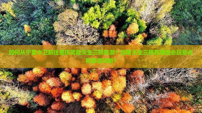 如何从宁夏中卫前往重庆武隆天生三桥旅游？武隆天生三桥有哪些必玩景点和旅游攻略？