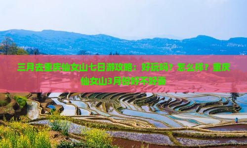 三月去重庆仙女山七日游攻略：好玩吗？怎么样？重庆仙女山3月份好不好耍