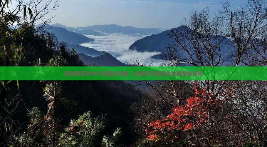 衢州到重庆WFC观景台攻略：自驾游与旅游全攻略路线指南