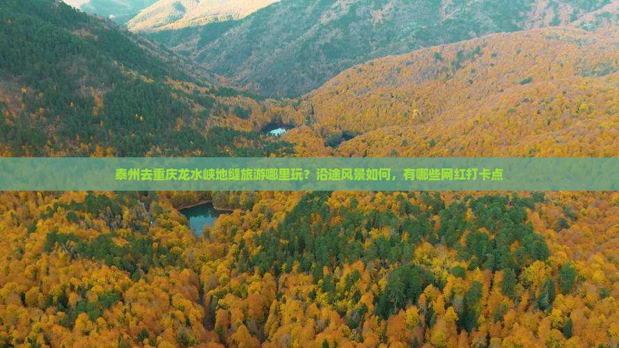 泰州去重庆龙水峡地缝旅游哪里玩？沿途风景如何，有哪些网红打卡点