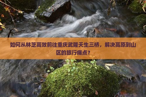 如何从林芝高效前往重庆武隆天生三桥，解决高原到山区的旅行痛点？