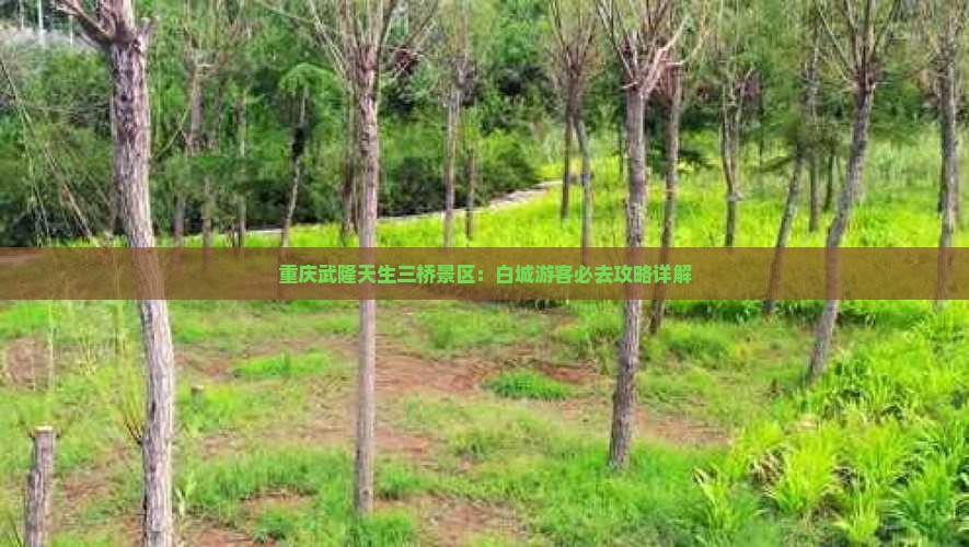 重庆武隆天生三桥景区：白城游客必去攻略详解