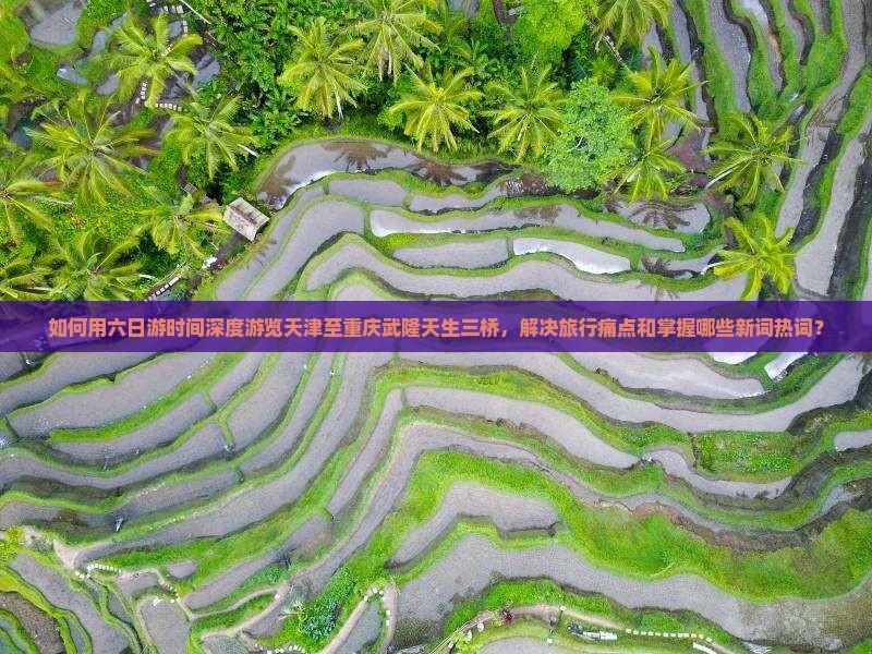 如何用六日游时间深度游览天津至重庆武隆天生三桥，解决旅行痛点和掌握哪些新词热词？