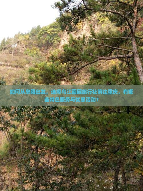 如何从阜阳出发，选择乌江画廊旅行社前往重庆，有哪些特色服务与优惠活动？