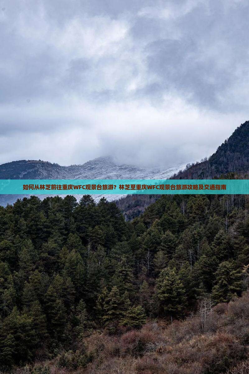 如何从林芝前往重庆WFC观景台旅游？林芝至重庆WFC观景台旅游攻略及交通指南