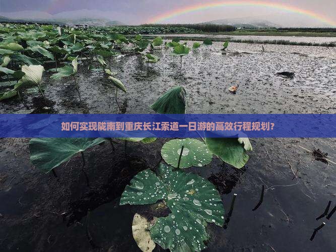 如何实现陇南到重庆长江索道一日游的高效行程规划？