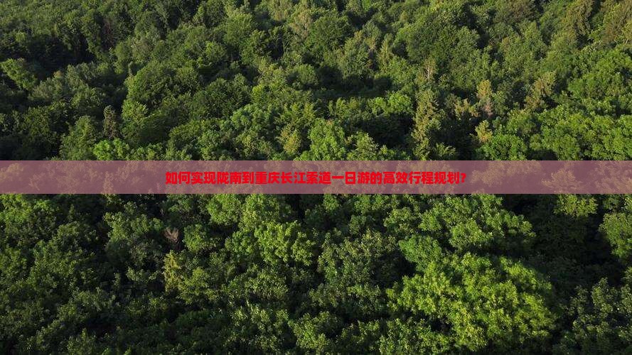 如何实现陇南到重庆长江索道一日游的高效行程规划？
