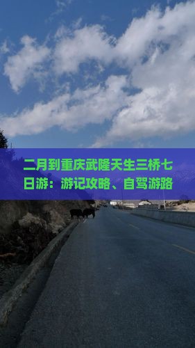 二月到重庆武隆天生三桥七日游：游记攻略、自驾游路线、一日游预算及门票信息