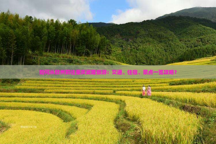 如何从钦州前往重庆武隆旅游：交通、住宿、景点一览攻略？