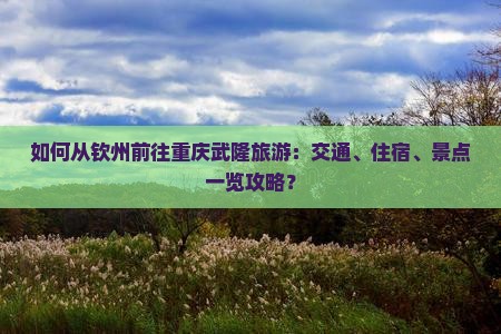 如何从钦州前往重庆武隆旅游：交通、住宿、景点一览攻略？