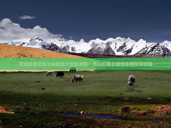 无锡到重庆龙水峡地缝大型旅游团？担心价格太缚快来看种草攻略