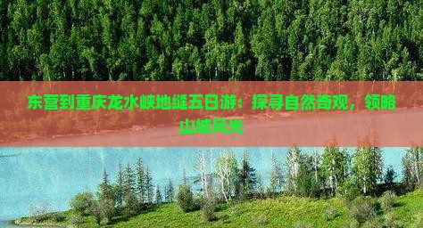 东营到重庆龙水峡地缝五日游：探寻自然奇观，领略山城风光