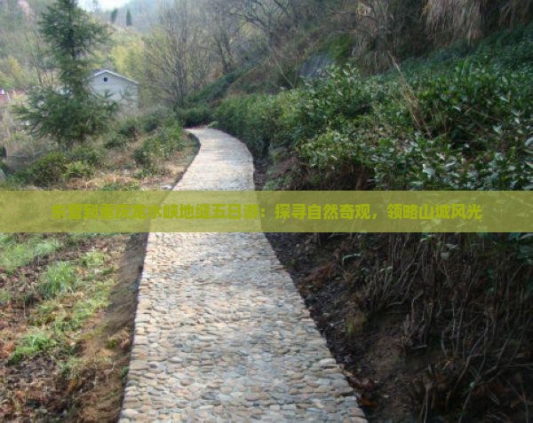 东营到重庆龙水峡地缝五日游：探寻自然奇观，领略山城风光