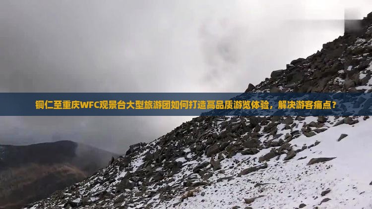 铜仁至重庆WFC观景台大型旅游团如何打造高品质游览体验，解决游客痛点？