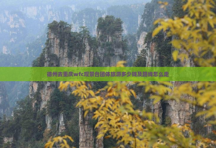 德州去重庆wfc观景台团体旅游多少钱及路线怎么走