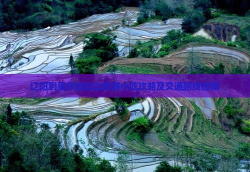 辽阳到重庆仙女山旅游小吃攻略及交通路线指南