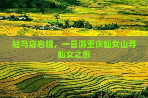 驻马店启程，一日游重庆仙女山寻仙女之旅