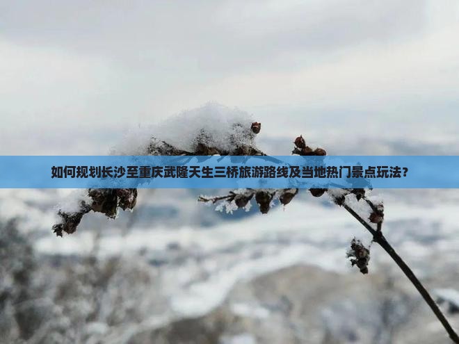 如何规划长沙至重庆武隆天生三桥旅游路线及当地热门景点玩法？