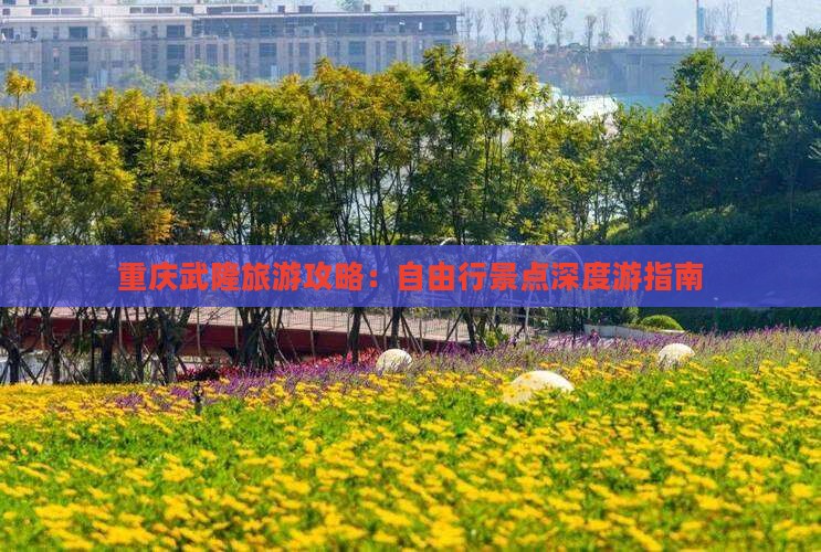 重庆武隆旅游攻略：自由行景点深度游指南