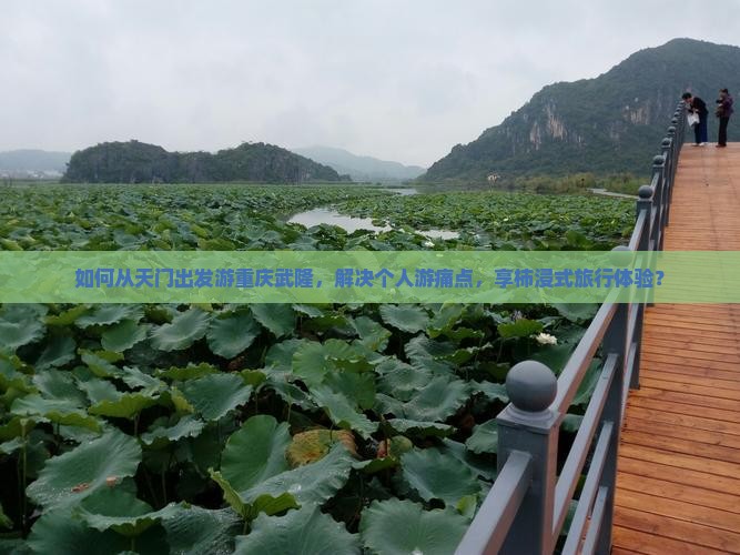如何从天门出发游重庆武隆，解决个人游痛点，享柿浸式旅行体验？