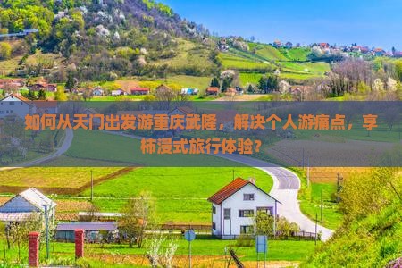 如何从天门出发游重庆武隆，解决个人游痛点，享柿浸式旅行体验？