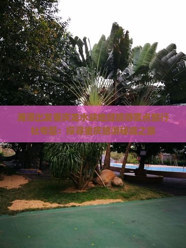 湘潭出发重庆龙水峡地缝旅游景点旅行社专题：探寻重庆旅游秘境之旅