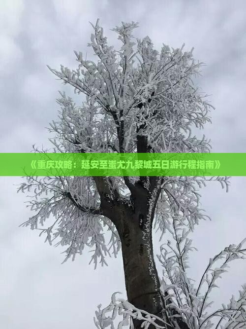 《重庆攻略：延安至蚩尤九黎城五日游行程指南》