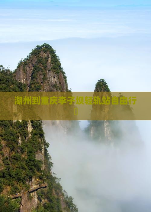 湖州到重庆李子坝轻轨站自由行團