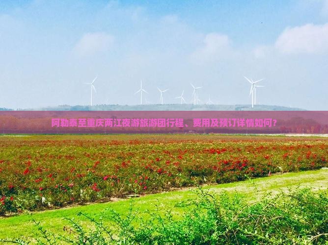 阿勒泰至重庆两江夜游旅游团行程、费用及预订详情如何？