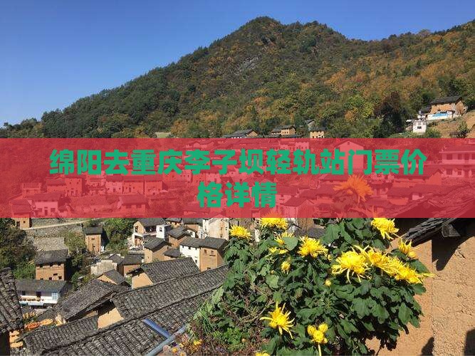 绵阳去重庆李子坝轻轨站门票价格详情