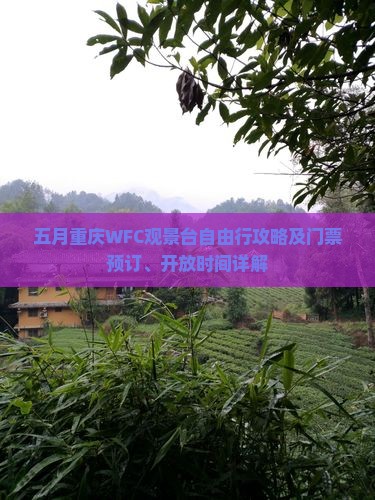 五月重庆WFC观景台自由行攻略及门票预订、开放时间详解