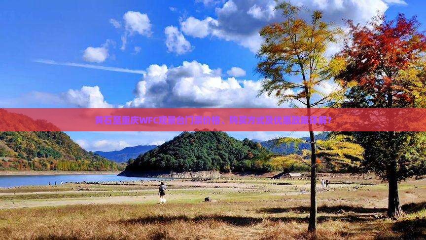 黄石至重庆WFC观景台门票价格、购买方式及优惠政策详解？