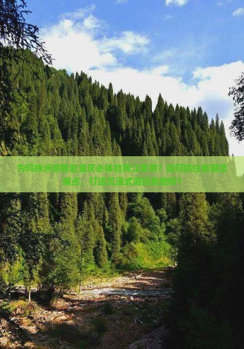 为何株洲游客赴重庆必体验两江夜游？如何抓住新潮流痛点，打造沉浸式游玩新地标？