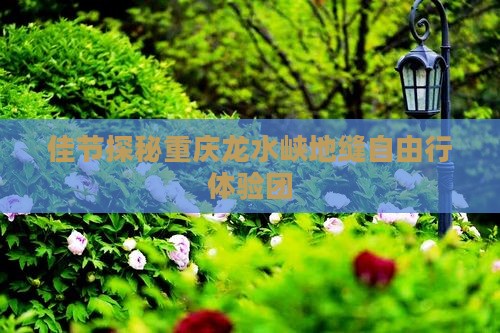 佳节探秘重庆龙水峡地缝自由行体验团