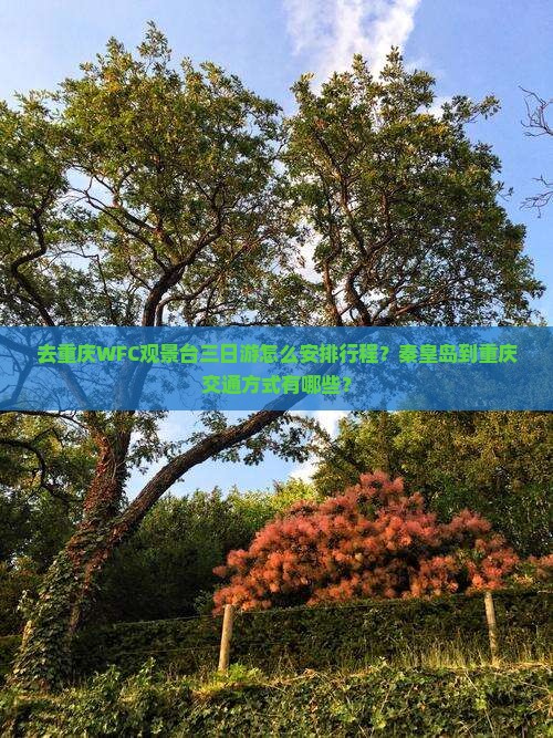 去重庆WFC观景台三日游怎么安排行程？秦皇岛到重庆交通方式有哪些？