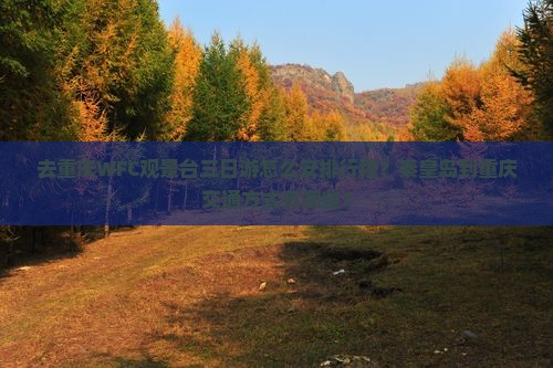 去重庆WFC观景台三日游怎么安排行程？秦皇岛到重庆交通方式有哪些？