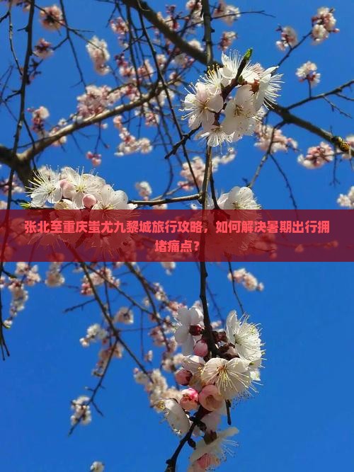 张北至重庆蚩尤九黎城旅行攻略，如何解决暑期出行拥堵痛点？