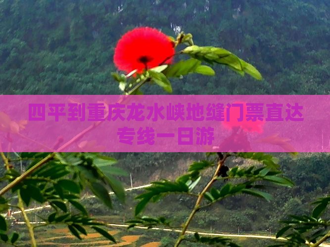 四平到重庆龙水峡地缝门票直达专线一日游