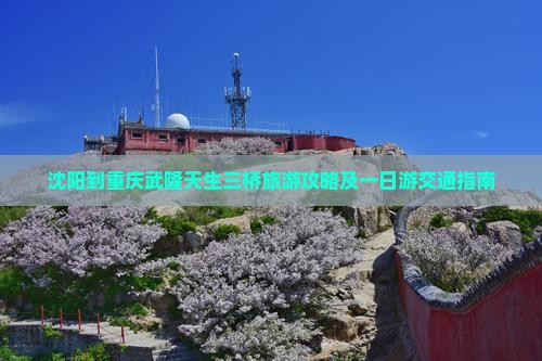 沈阳到重庆武隆天生三桥旅游攻略及一日游交通指南
