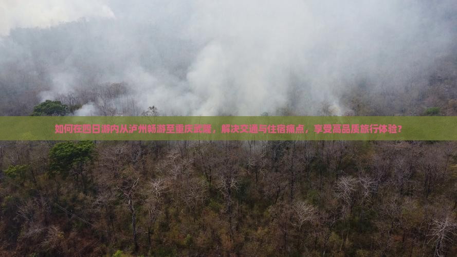 如何在四日游内从泸州畅游至重庆武隆，解决交通与住宿痛点，享受高品质旅行体验？