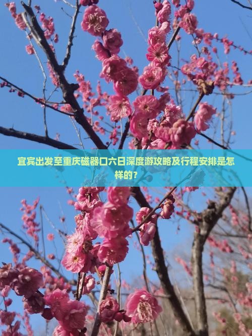 宜宾出发至重庆磁器口六日深度游攻略及行程安排是怎样的？