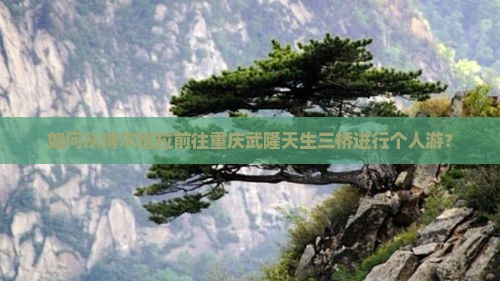 如何从博尔塔拉前往重庆武隆天生三桥进行个人游？