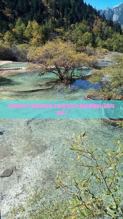 如何规划上饶至重庆李子坝轻轨站大型旅游团的行程与活动？