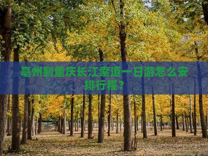 亳州到重庆长江索道一日游怎么安排行程？