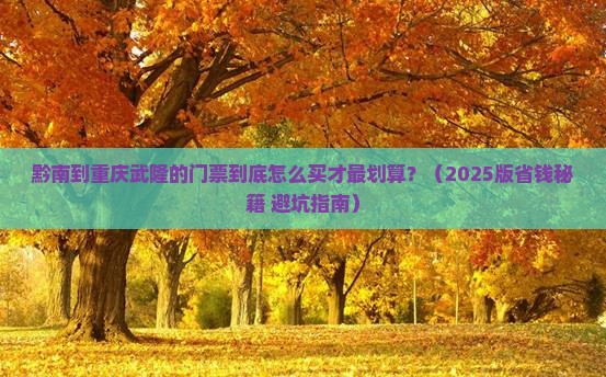 黔南到重庆武隆门票