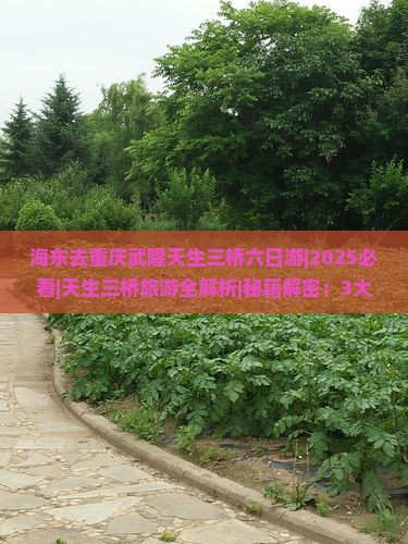 海东去重庆武隆天生三桥六日游