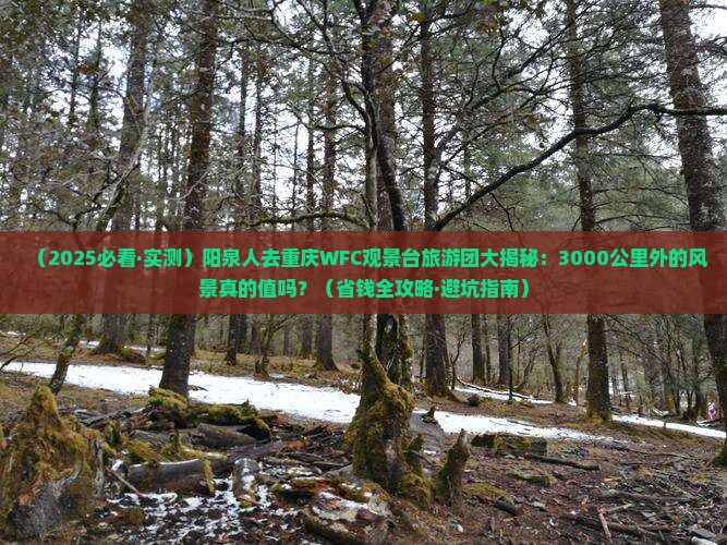 阳泉去重庆wfc观景台大型旅游团